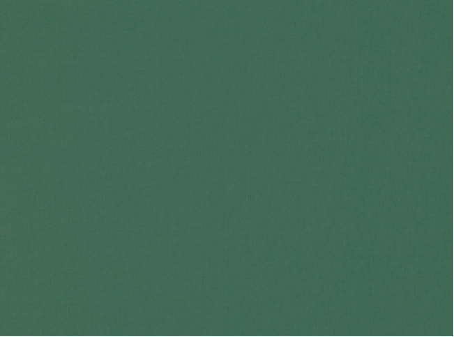 Romo Celino Evergreen Fabric