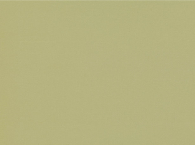 Romo Celino Pistachio Fabric
