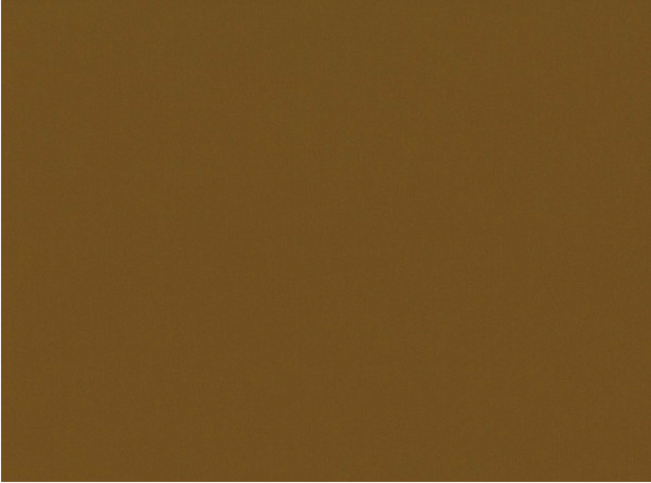 Romo Forenza Cinnamon Fabric