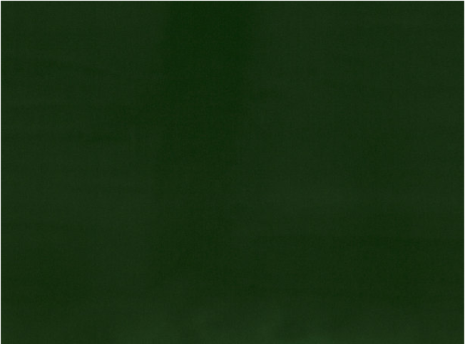 Romo Forenza Forest Fabric