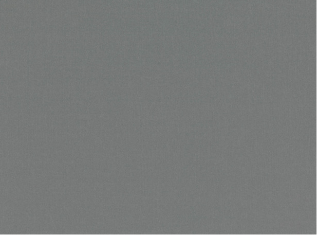 Romo Forenza French Grey Fabric