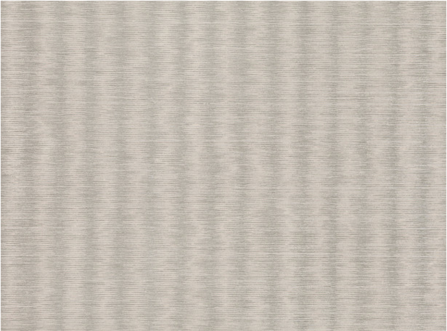 Kutai Silver Birch Wallcovering by Romo