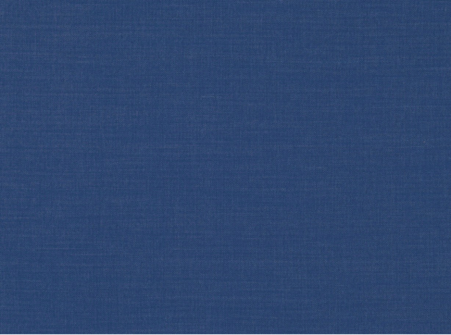 Romo Miro Bilberry Fabric