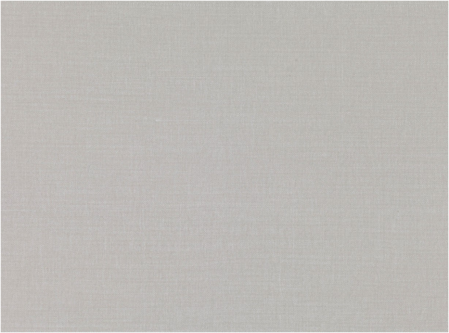 Romo Miro Turtle Dove Fabric