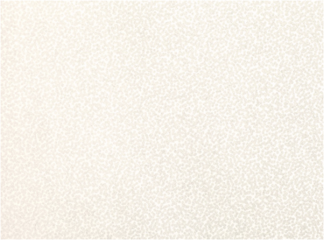 Tilla Whitewash Wallcovering by Romo