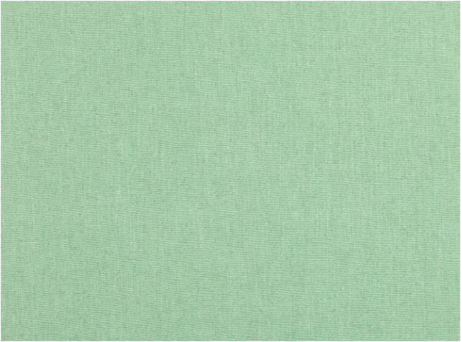 Ruskin Peppermint by Romo