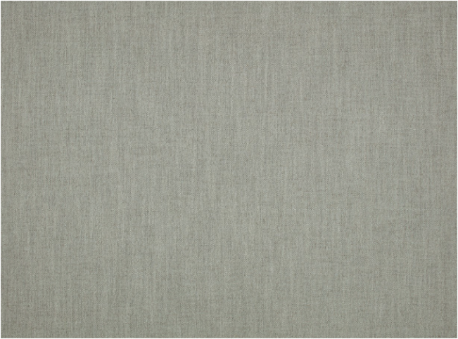 Ruskin Pigeon by Romo