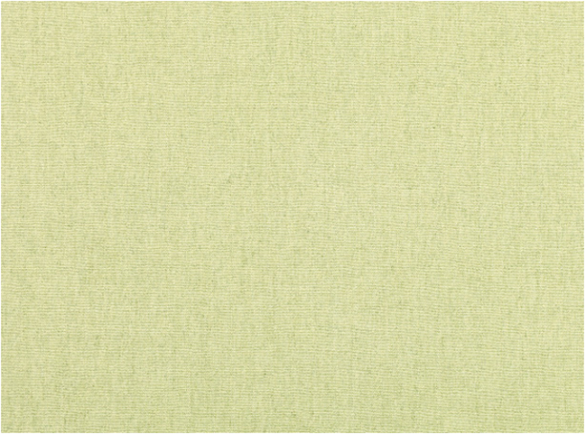 Ruskin Pistachio by Romo
