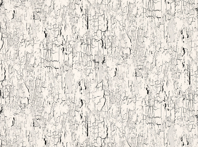 Black Edition Antica Whitewash Fabric