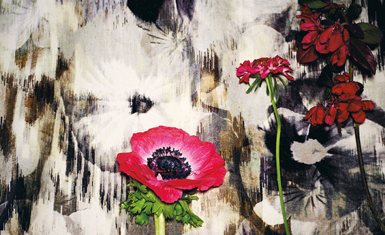 Black Edition Kansai Velvet Indium Fabric