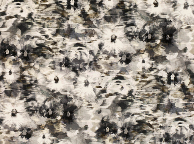 Black Edition Kansai Velvet Indium Fabric