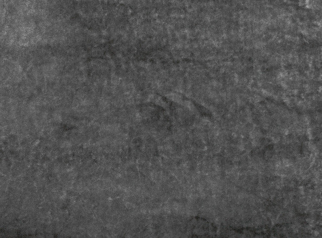 Black Edition Musa Grey Seal Fabric