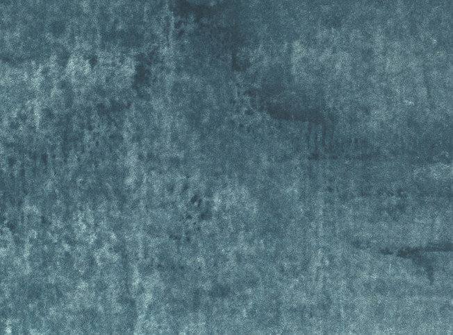 Black Edition Musa Tapestry Fabric