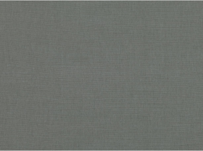 Romo Linara Fossil