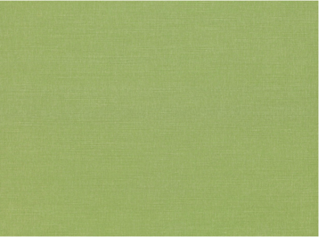 Romo Linara Kiwi