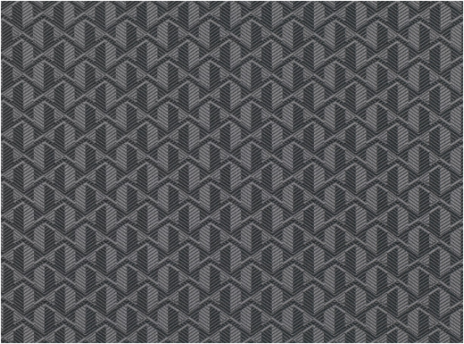 Romo Perez Raven Fabric