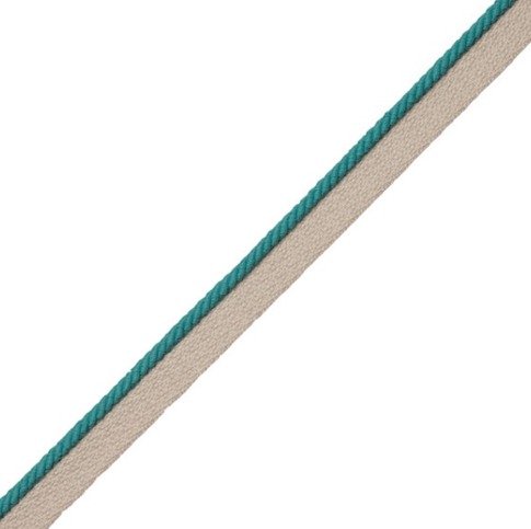 Capri 1/8 inches Saisons Cord with Tape by Samuel and Sons
