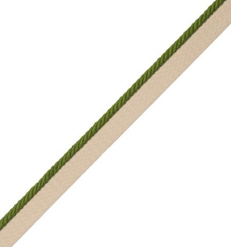 Lime 1/8 inches Saisons Cord with Tape by Samuel and Sons