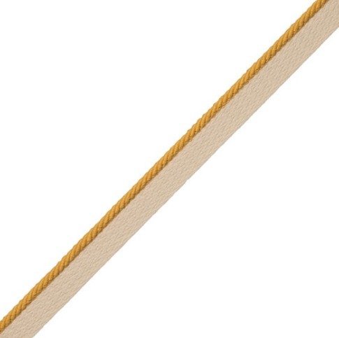 Sun 1/8 inches Saisons Cord with Tape by Samuel and Sons