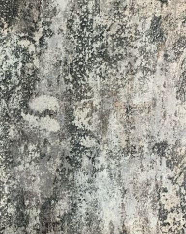 Aircraft 2 Fossil Fabric by Today Interiors 