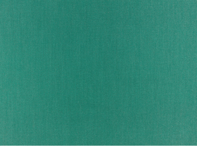 Aruba Outdoor Emerald Fabric by Villa Nova 