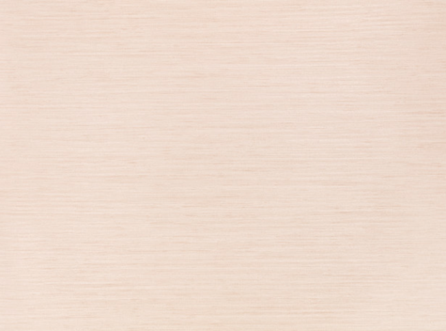 Chandbali Wide Wallcovering Plaster by Villa Nova 