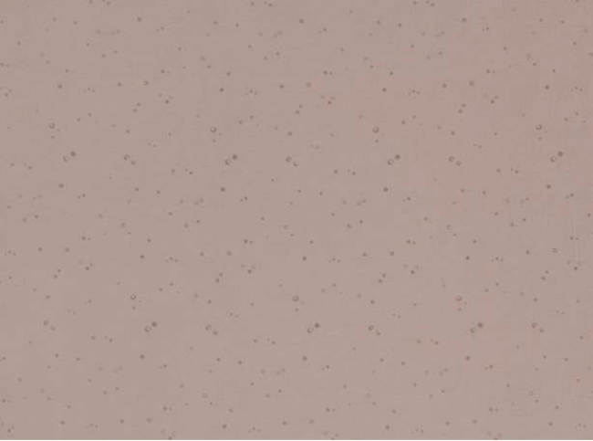 Ditto Plaster Fabric by Villa Nova 