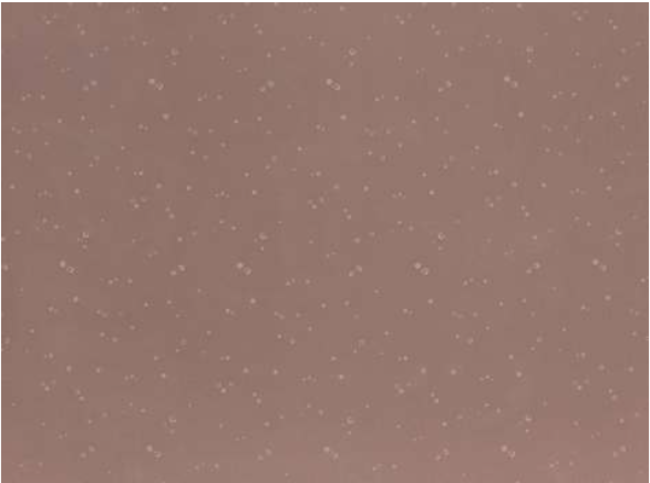 Ditto Plaster Fabric by Villa Nova 