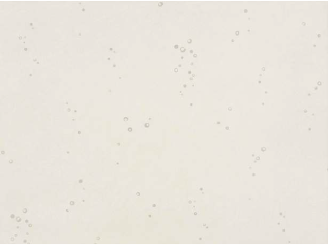 Ditto Porcelain Wallcovering by Villa Nova 