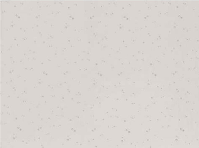 Ditto Silica Fabric by Villa Nova 