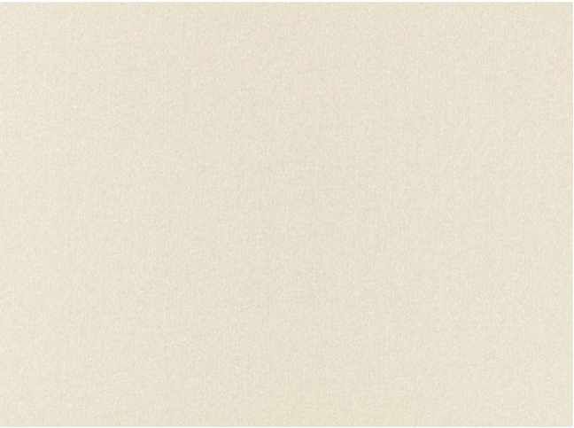 Dorney Birch Fabric by Villa Nova 
