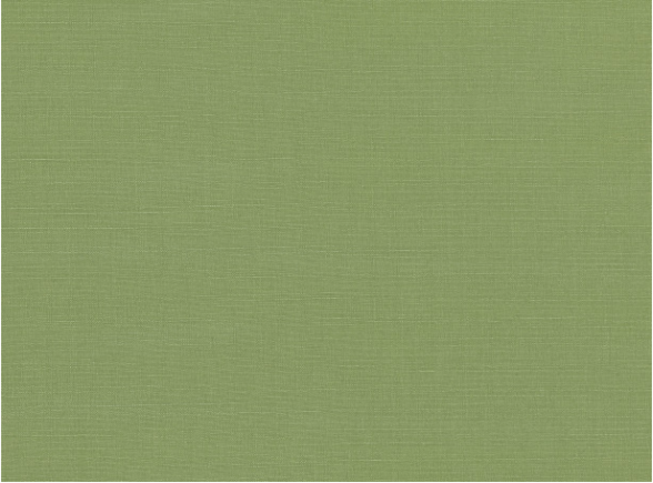 Geneva Grass Fabric by Villa Nova 
