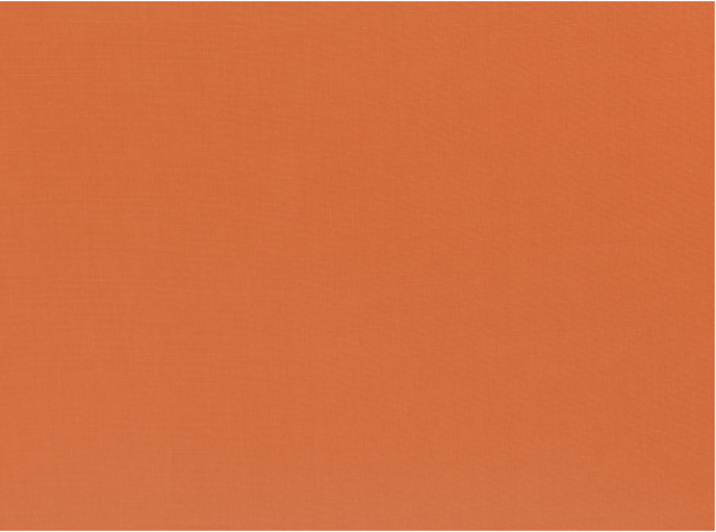 Geneva Pumpkin Fabric by Villa Nova 