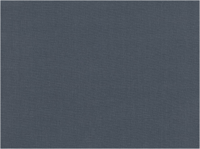 Geneva Raven Fabric by Villa Nova 