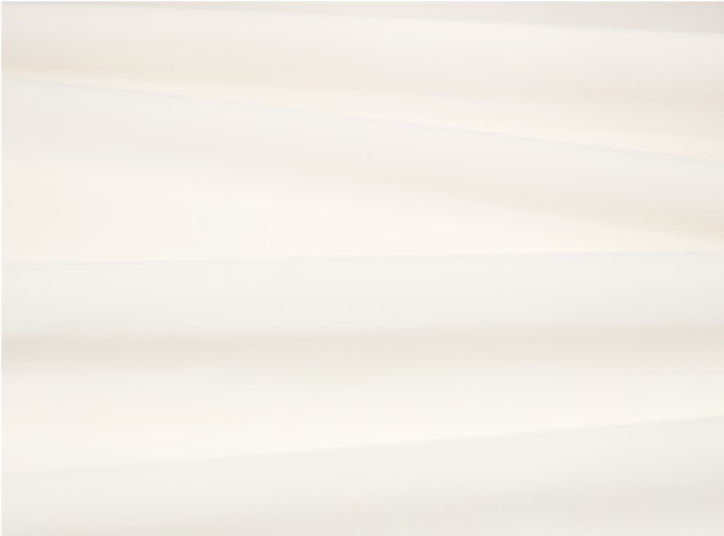 Rio Camelia Fabric by Villa Nova 