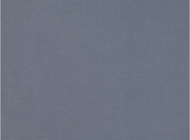 Atlantis Dolphin Fabric by Villa Nova 