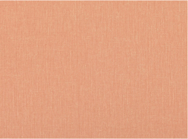 Malmo Cinnamon Wallcovering by Villa Nova