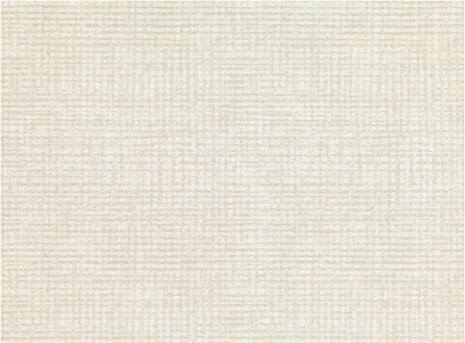 Nikko Birch Wallcovering by Villa Nova