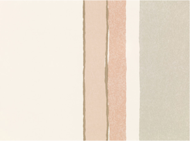 Stipa Blush Wallcovering by Villa Nova