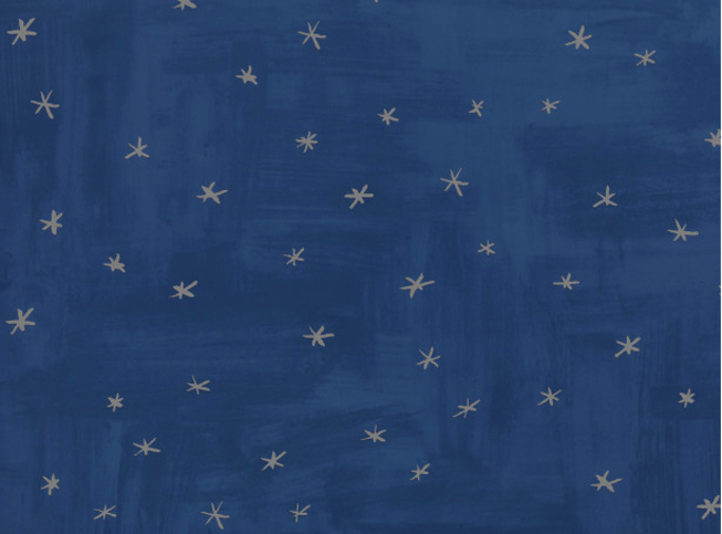 Twinkle Twinkle Wallcovering Night by Villa Nova