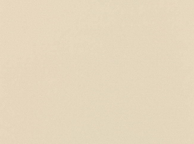 Valleta Cashew Fabric by Villa Nova