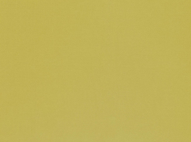 Valleta Jalapeno Fabric by Villa Nova