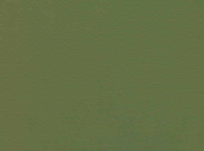 Valleta Kiwi Fabric by Villa Nova