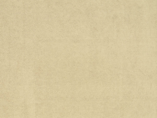 Amaro Fabric by Zimmer & Rohde 