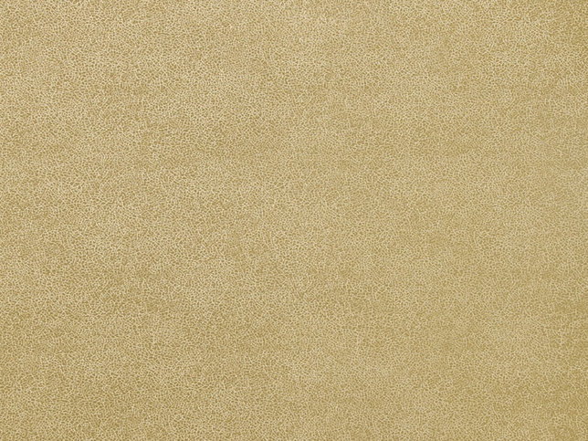 Glaze Wallcovering by Zimmer & Rohde 