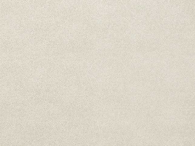 Glaze Wallcovering by Zimmer & Rohde 
