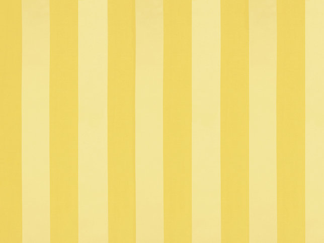 Solice Stripe Fabric by Zimmer & Rohde 
