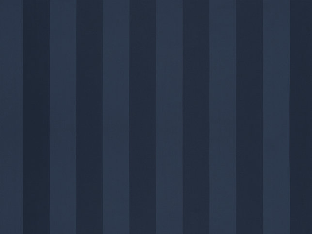 Solice Stripe Fabric by Zimmer & Rohde 