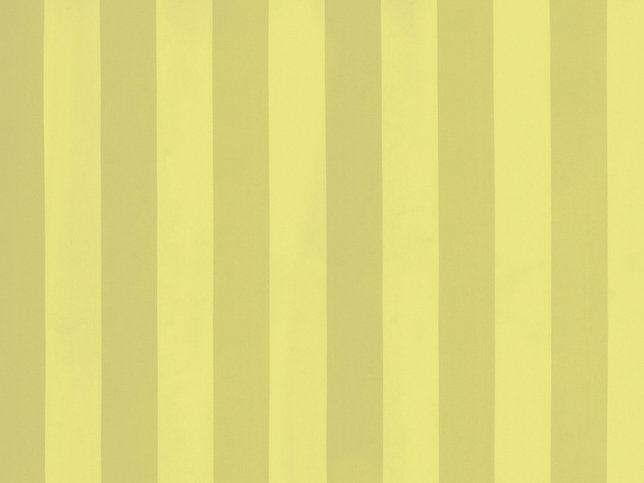 Solice Stripe Fabric by Zimmer & Rohde 