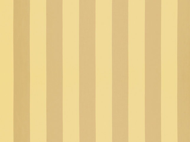 Solice Stripe Fabric by Zimmer & Rohde 